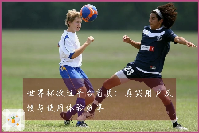 世界杯投注平台首页:真实用户反馈与使用体验分享