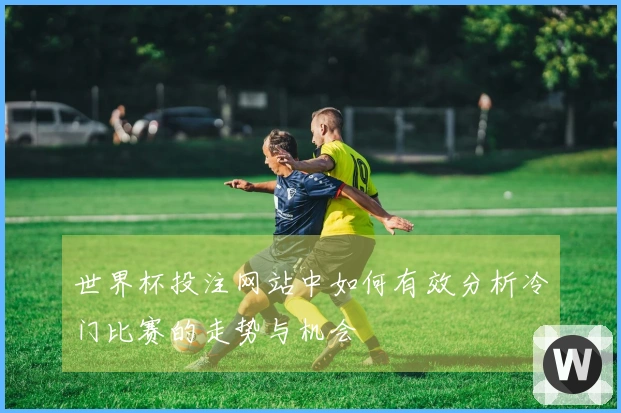 世界杯投注网站中如何有效分析冷门比赛的走势与机会