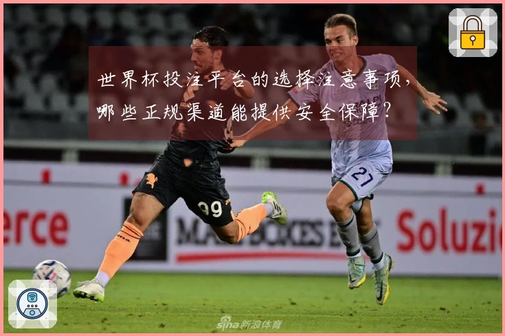 世界杯投注平台的选择注意事项，哪些正规渠道能提供安全保障？