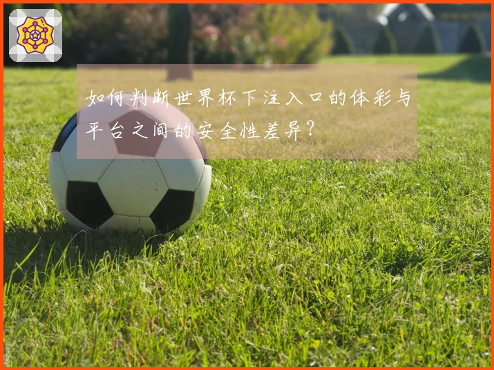 如何判断世界杯下注入口的体彩与平台之间的安全性差异？