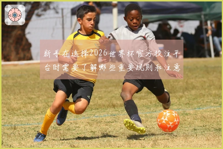 新手在选择2026世界杯官方投注平台时需要了解哪些重要规则和注意事项
