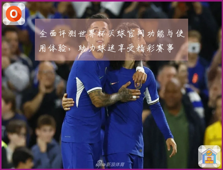 全面评测世界杯买球官网功能与使用体验,助力球迷享受精彩赛事