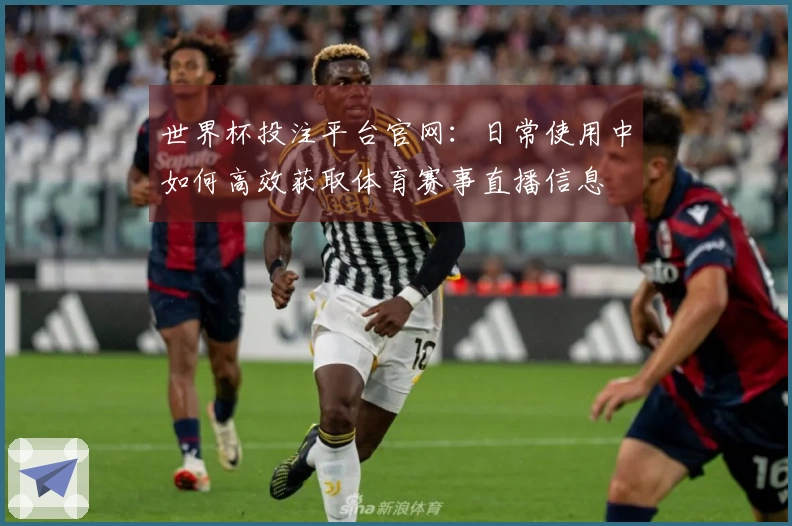 世界杯投注平台官网：日常使用中如何高效获取体育赛事直播信息