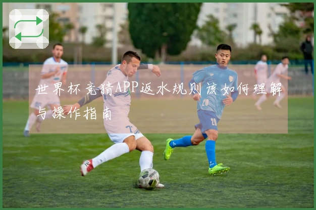 世界杯竞猜APP返水规则该如何理解与操作指南