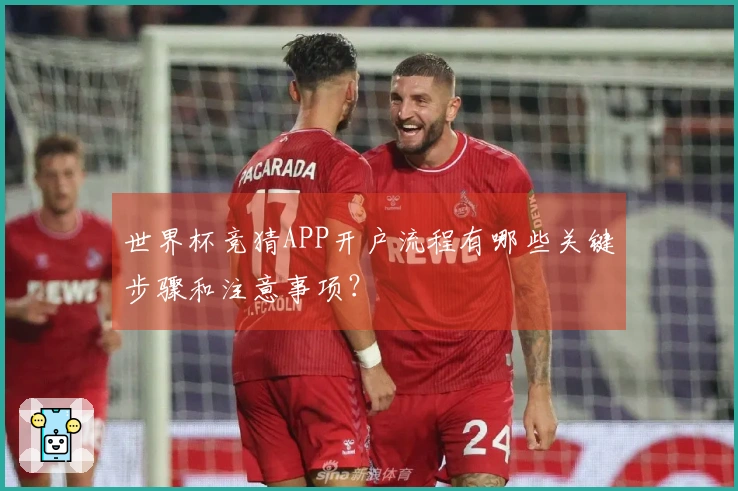 世界杯竞猜APP开户流程有哪些关键步骤和注意事项？