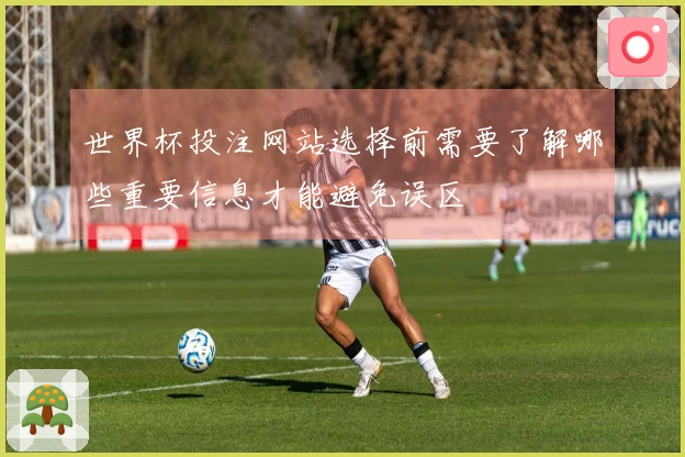 世界杯投注网站选择前需要了解哪些重要信息才能避免误区