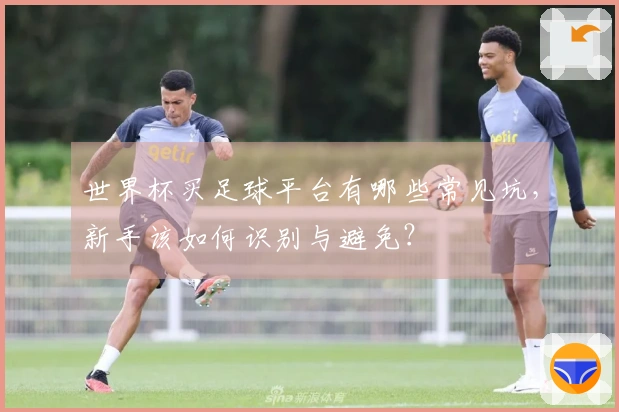 世界杯买足球平台有哪些常见坑，新手该如何识别与避免？