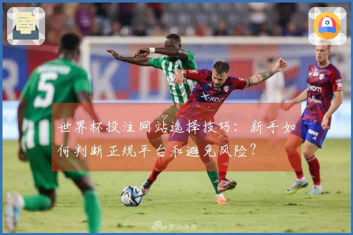 世界杯投注网站选择技巧：新手如何判断正规平台和避免风险？