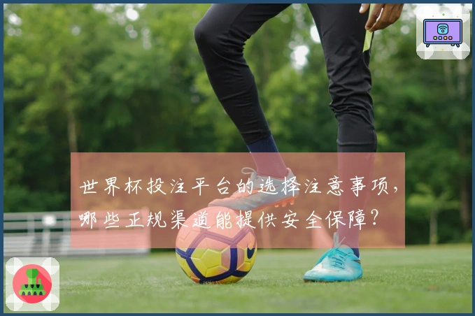 世界杯投注平台的选择注意事项，哪些正规渠道能提供安全保障？