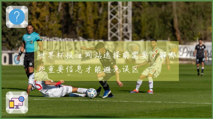 世界杯投注网站选择前需要了解哪些重要信息才能避免误区