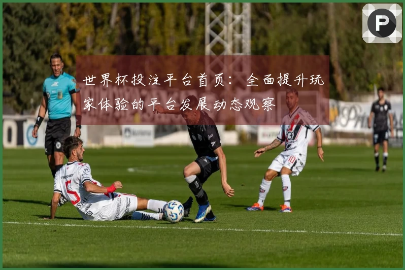 世界杯投注平台首页：全面提升玩家体验的平台发展动态观察