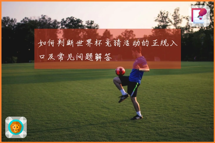 如何判断世界杯竞猜活动的正规入口及常见问题解答