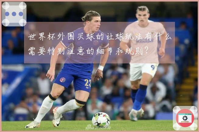 世界杯外围买球的让球玩法有什么需要特别注意的细节和规则？