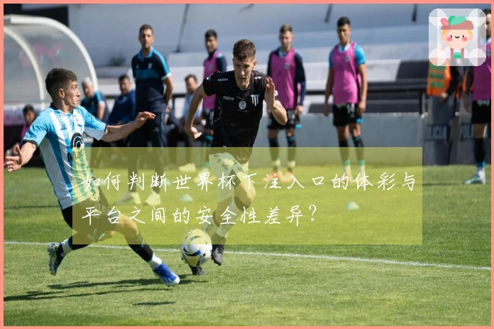如何判断世界杯下注入口的体彩与平台之间的安全性差异？