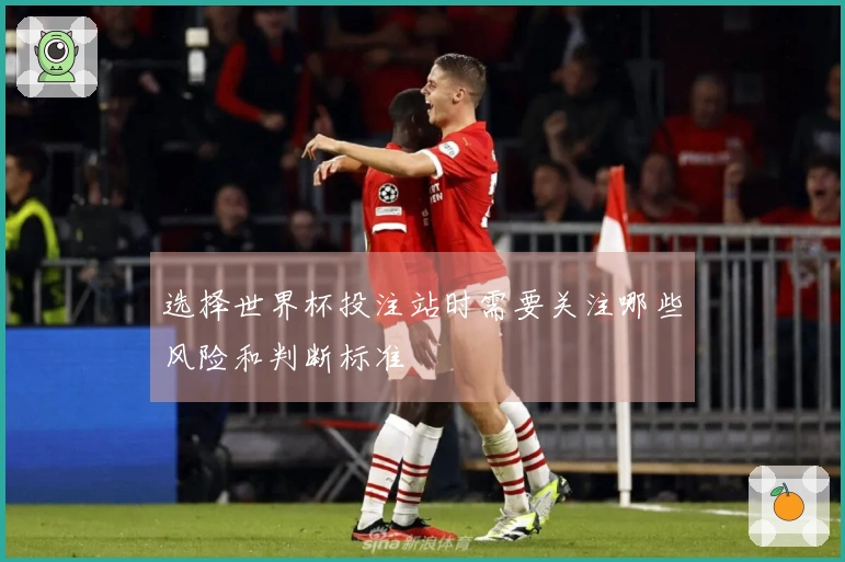 选择世界杯投注站时需要关注哪些风险和判断标准