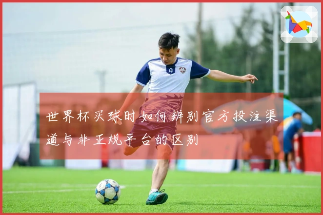 世界杯买球时如何辨别官方投注渠道与非正规平台的区别