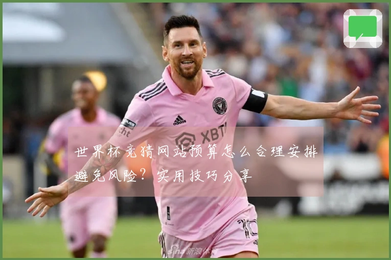 世界杯竞猜网站预算怎么合理安排避免风险？实用技巧分享